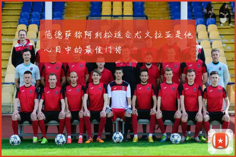 范德萨称阿利松适合尤文拉亚是他心目中的最佳门将