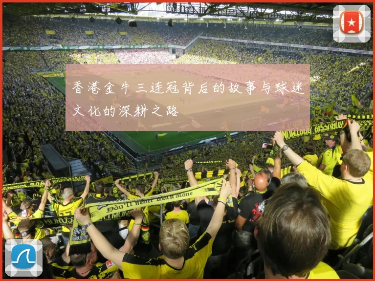 香港金牛三连冠背后的故事与球迷文化的深耕之路
